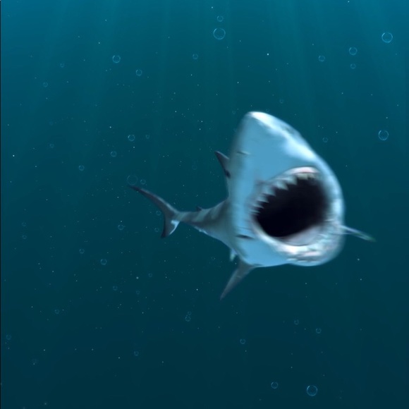 Meet your Posher, Dixie - Picture 2 of 2